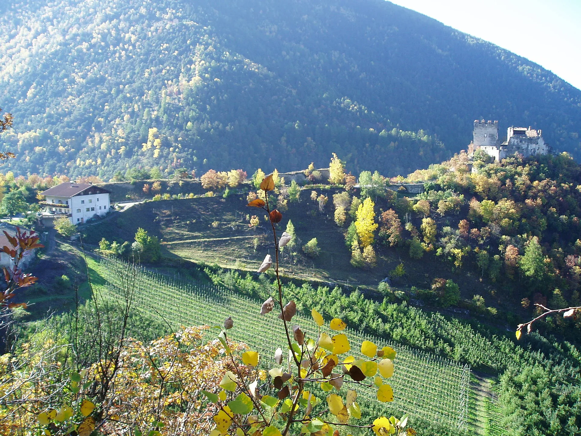 Burg Obermontani über dem Tal bei Morter